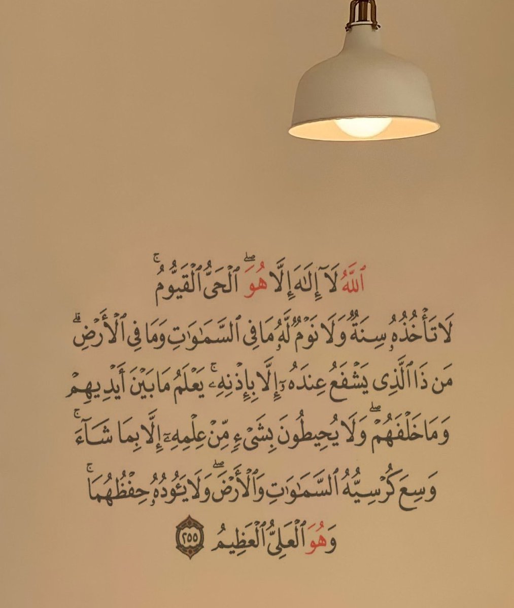 everywhere 00v8i tweet media