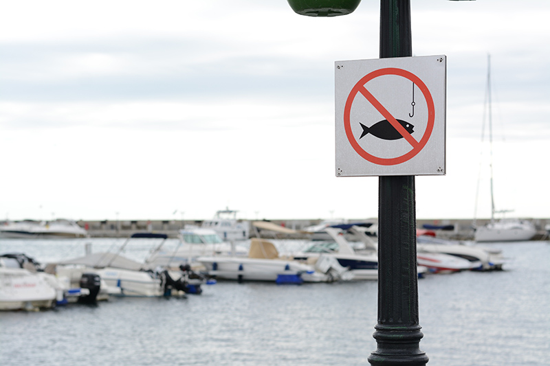 CCA CAL Launches Campaign to Preserve Recreational Fishing Access in California’s 30x30 Plan.
#TheLog #CCACAL30x30 #no-fishingcoastalareas #Californiafishing