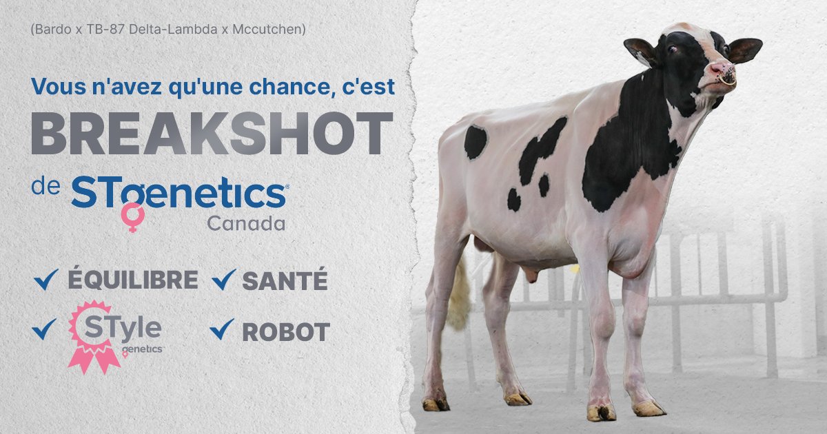 BREAKSHOT de #STgeneticsCanada a tout ce qu'il faut : Équilibre, Type, Santé et efficacité pour la Traite Robotisée ! BREAKSHOT est désigné #STyleGenetics™, +12 Conf +10 P&M +3288 MPG-IPV +.25% Gras +.12% Prot & A2A2 & disponible en #Ultraplus™. Plus : bit.ly/3tugNPA