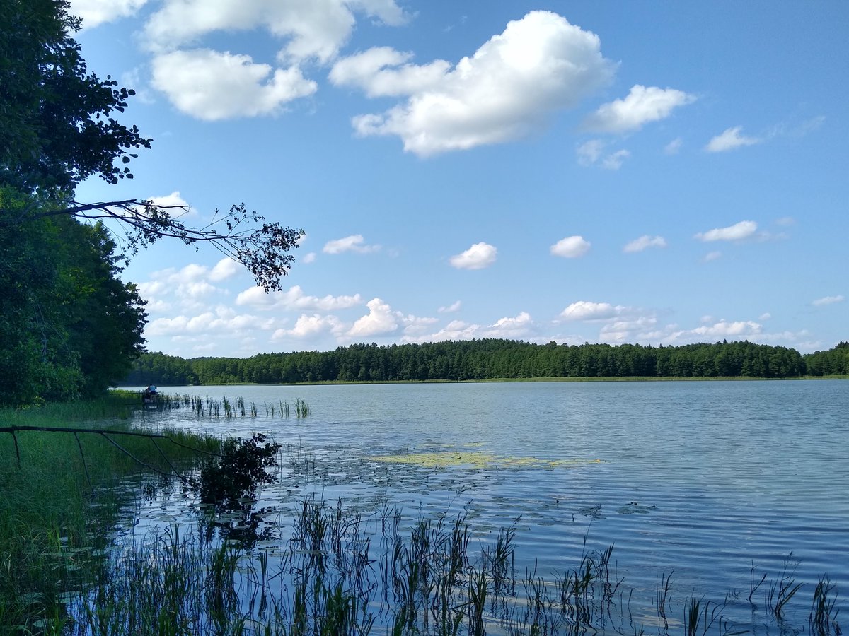 Anna Karnkowska tweet media