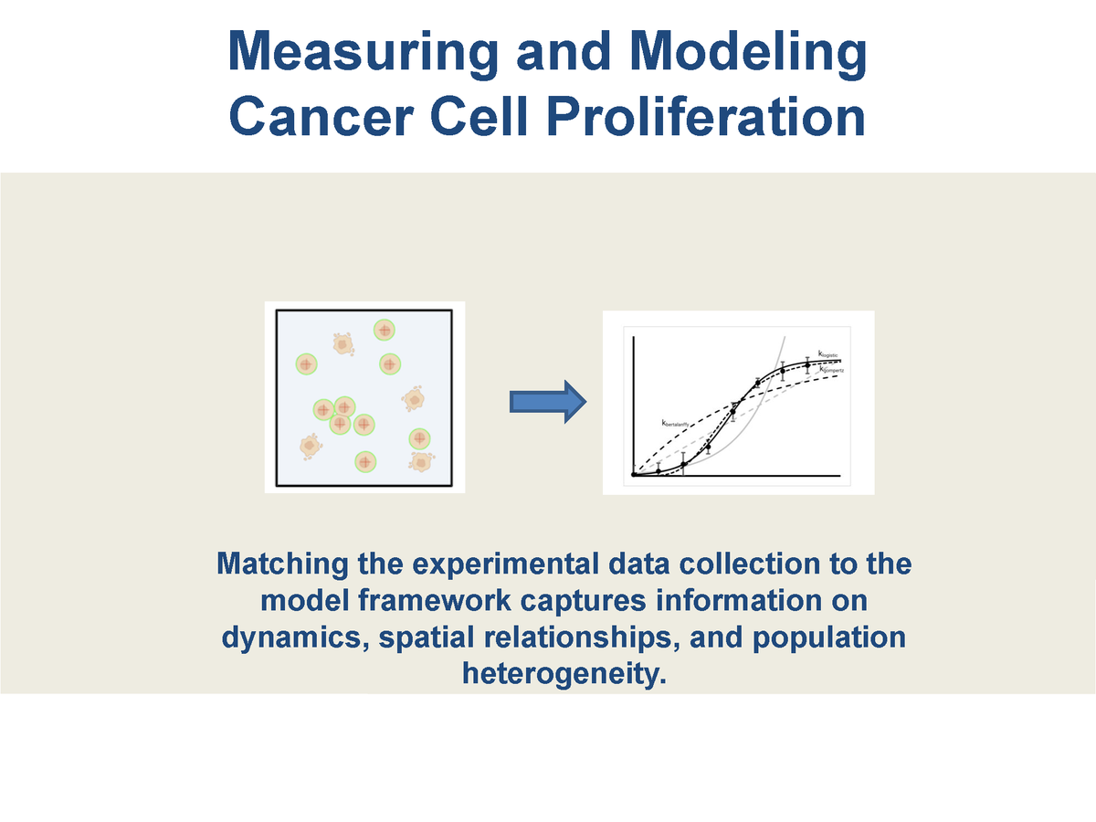AJPCellPhys's tweet image. Integration of Quantitative Methods and Mathematical Approaches for the Modeling of #CancerCell Proliferation Dynamics

ow.ly/jlyv50MHm0M

#ArticlesInPress #review #CellDynamics #GrowthModels #MathematicalModeling @AmyBrock_PhD @UTBiomedical