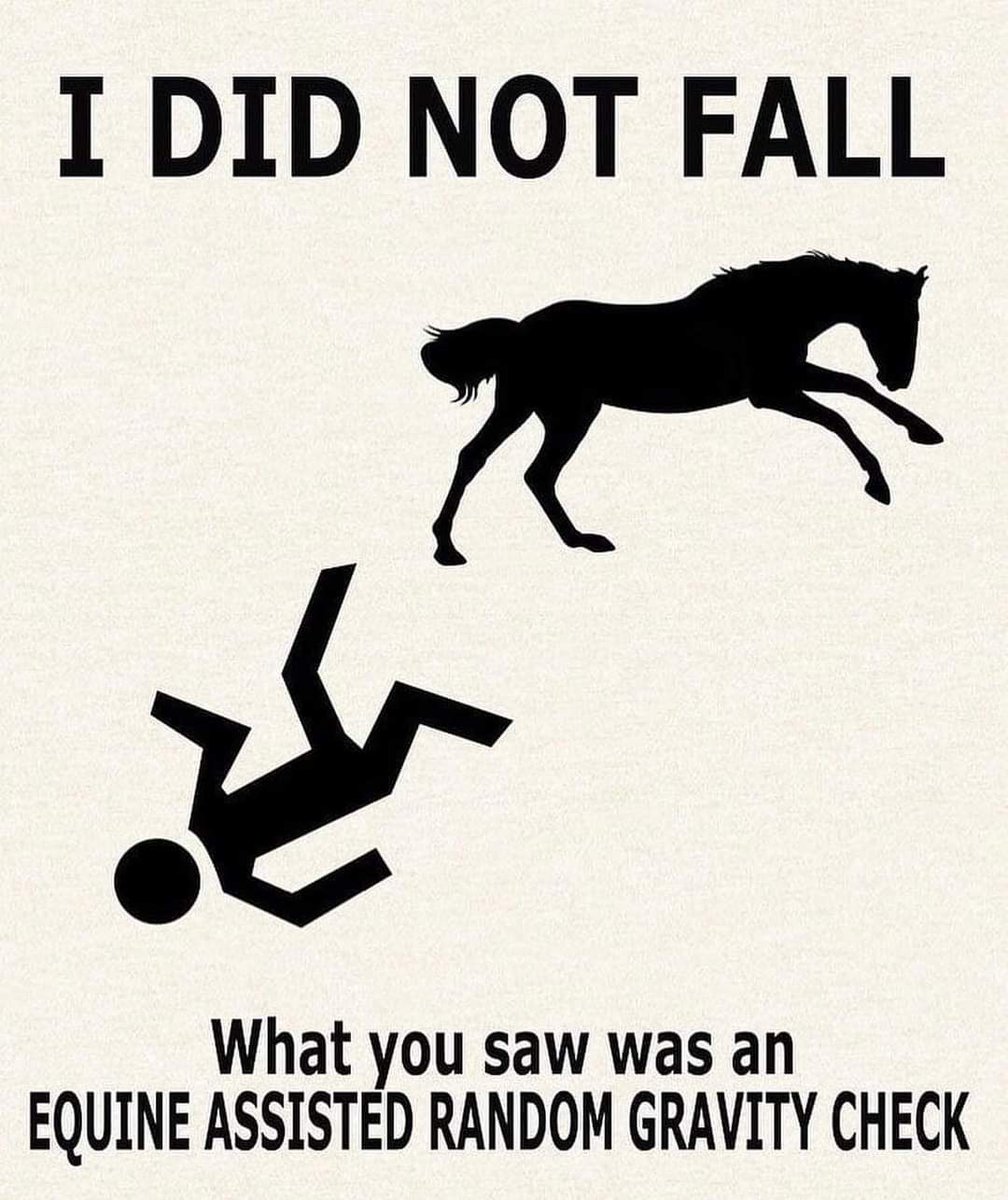 Just like the equine facilitated therapy that we offer, we're sure we all know a few horses that would be happy to assist you with your random gravity checks 😉🐎