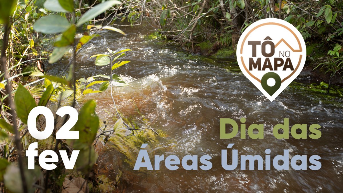 Rede_Cerrado's tweet photo. Você sabia que hoje é o Dia Mundial das Áreas Úmidas? 💧

Essas são áreas de interface entre ecossistemas aquáticos e terrestres, fundamentais para a recarga d'água e para a biodiversidade! 

Se liga no fio e conheça quatro tipos de áreas úmidas que existem no Cerrado: https://t.co/3RZhx629R6