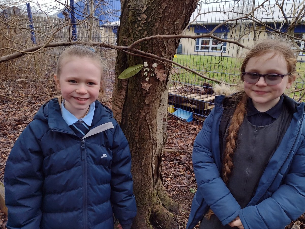 MrsSmithToday's tweet photo. P4 wanted to do outdoor learning or art this afternoon. So we did! Look who's in the woods today.  #transientart creativity, pupil choice, fun, engaged, problem solving, observation, success.@livivillagePS https://t.co/Juaw5hRFWn