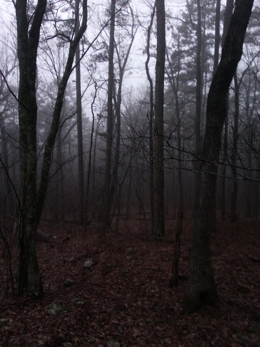 anonenvironment's tweet image. Spooooky