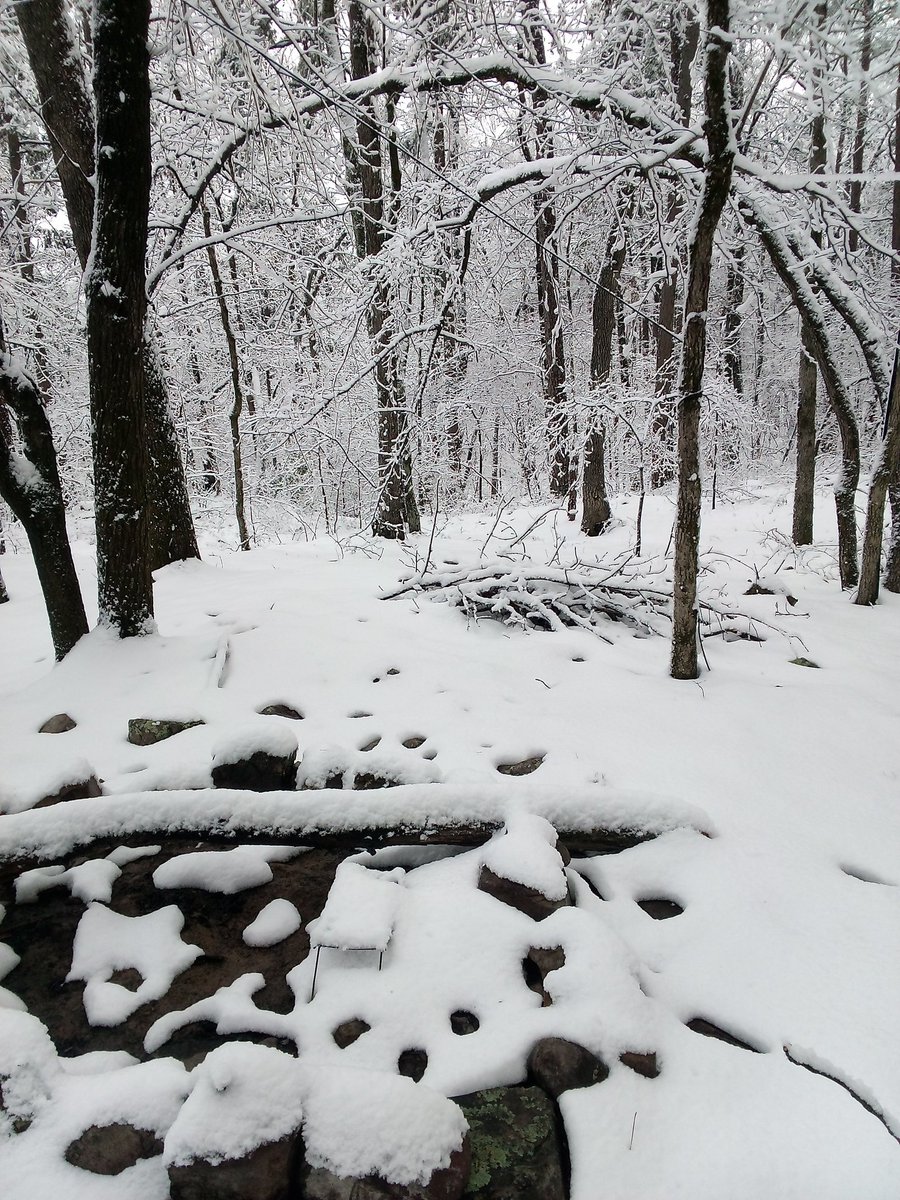 anonenvironment's tweet image. 