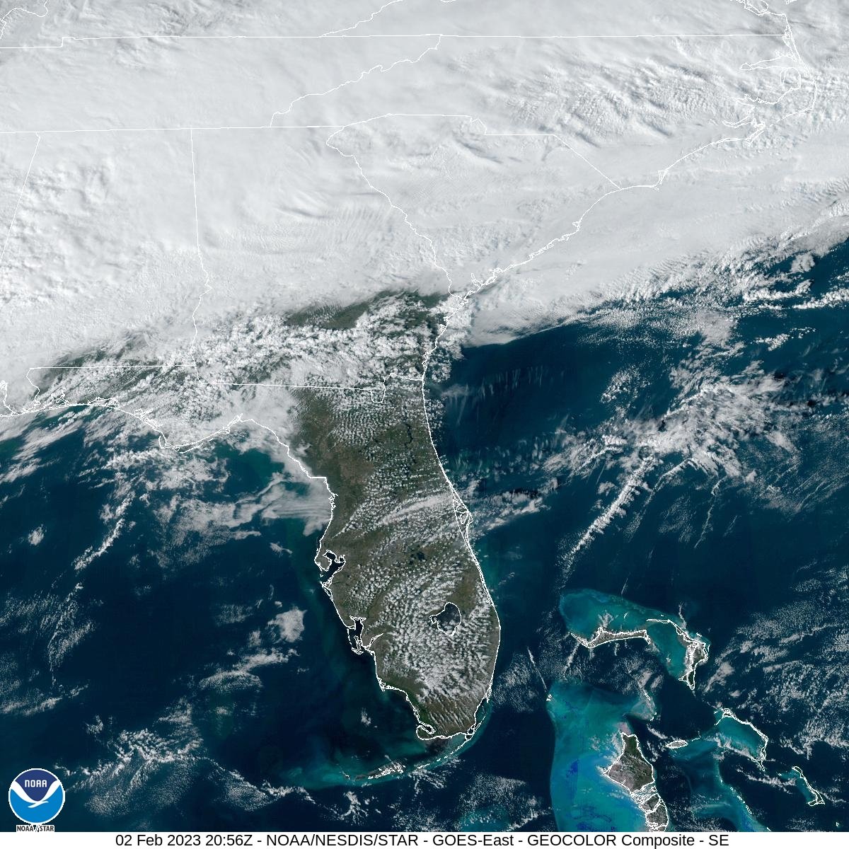Josh Knight tweet media