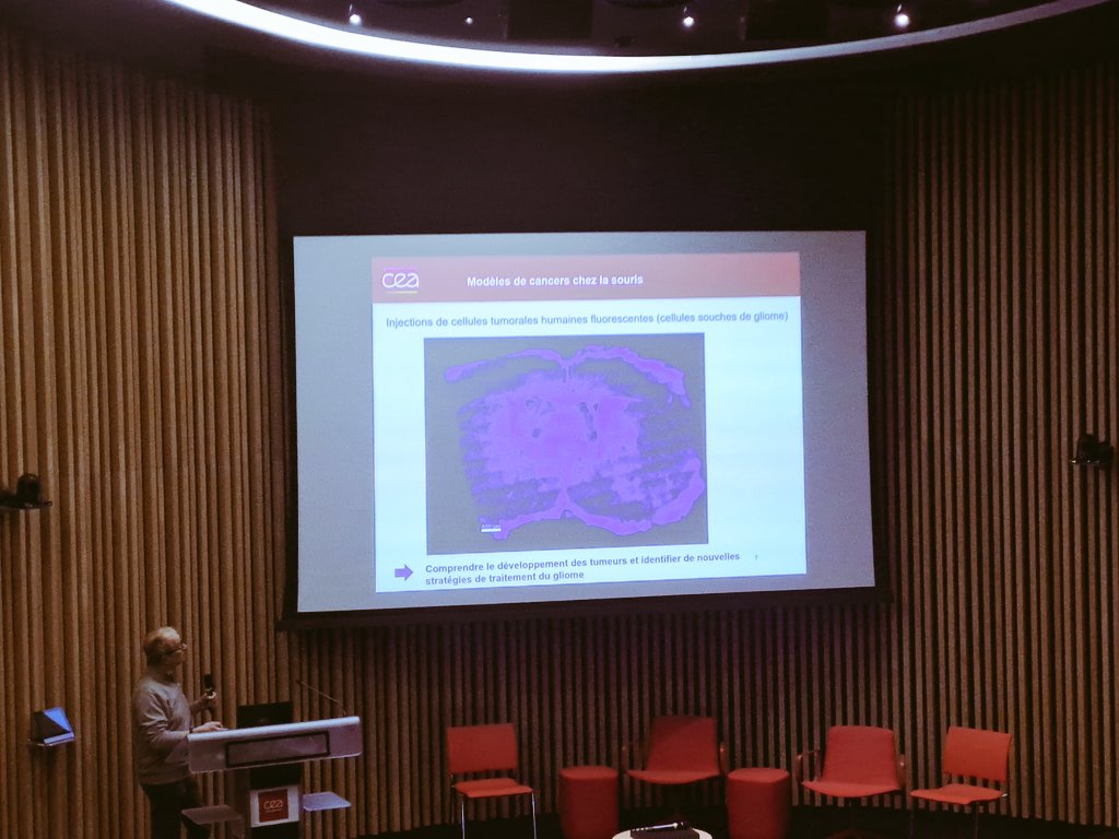 CEA_Jacob_'s tweet photo. 📢 Retour sur #ScientifiqueToiAussi qui a eu lieu sur le site Fontenay-aux-Roses @CEAParisSaclay. L'occasion pour les lycéens de découvrir des parcours professionnels & métiers du site. Petit ➕️ : des visites des laboratoires de l'#iRCM qui ont donné lieu à de riches échanges. https://t.co/7gz0nyZk3g