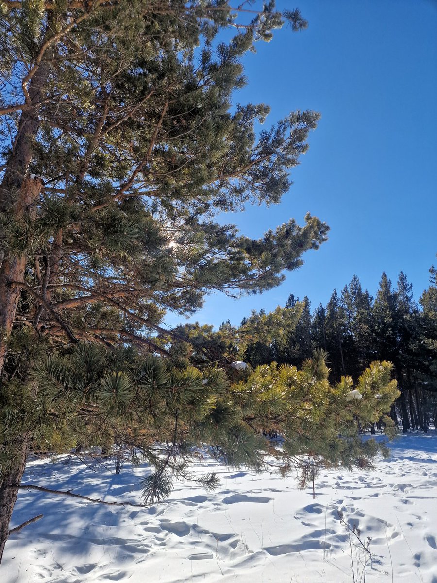 Delgerbayar tweet media