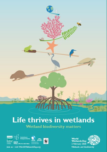 MellodoraArt's tweet photo. Today is World Wetlands Day. A good time to find out more about their importance (for biodiversity and for human beings) and  how to protect them. Wetlands are life. 

[Sharing this poster published by Ramsar and other organizations.] https://t.co/NB6DctW4nk