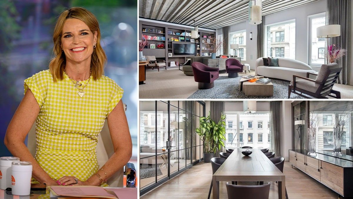 ‘Today’ Co-Anchor Savannah Guthrie Is Selling Her Posh Manhattan Condo dlvr.it/ShrtYq #CelebrityRealEstate #NBC #NewYorkNY #TVhost