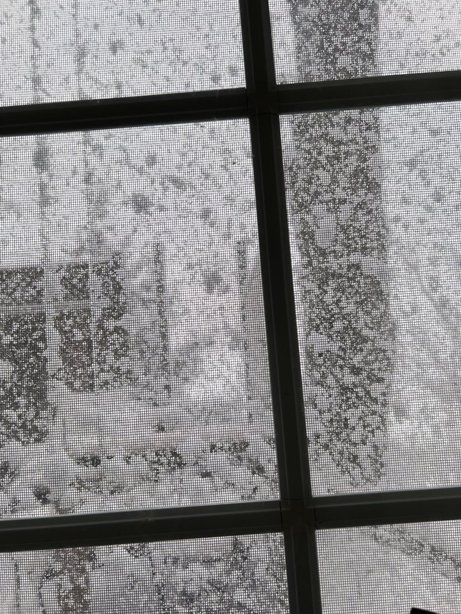 suthers49's tweet photo. ⁦@josiemelia⁩ This is the view from my window today! In Canada, were a little behind you for spring!!!  Keep well, Josie, and think of me once in a while :) https://t.co/OS0FbHr0m1