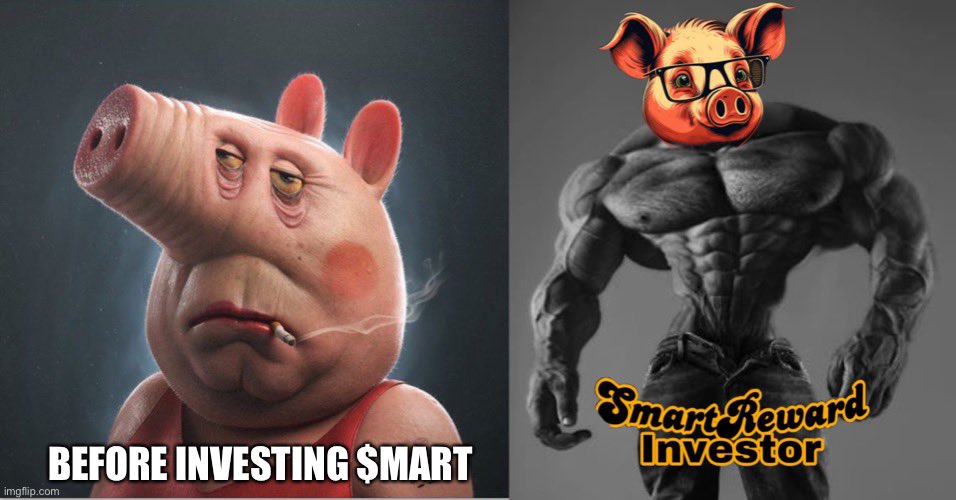 HughJazzx's tweet photo. Invest your money $MART #smartreward #bsc #binance @smartreward1 @1goonrich #moonshot https://t.co/8kGRt543yt