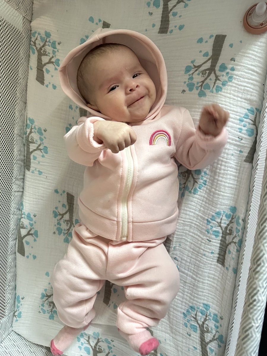 TheJankSquad's tweet photo. It’s about that time. We’re back on stream tomorrow with a special appearance from the newest member of the Jank Squad, Willow! 

Time tbd https://t.co/1nn2dk7KdM