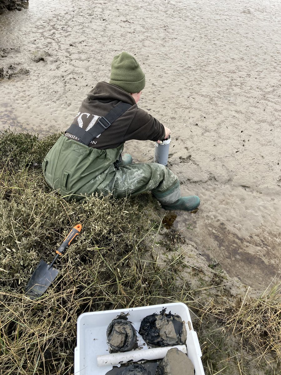 Clare Addyman tweet media