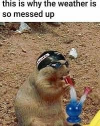 TweetyTea19's tweet photo. #ExtremeColdWeatherAlert #GroundhogDay2023 https://t.co/3vcjjeCjWk