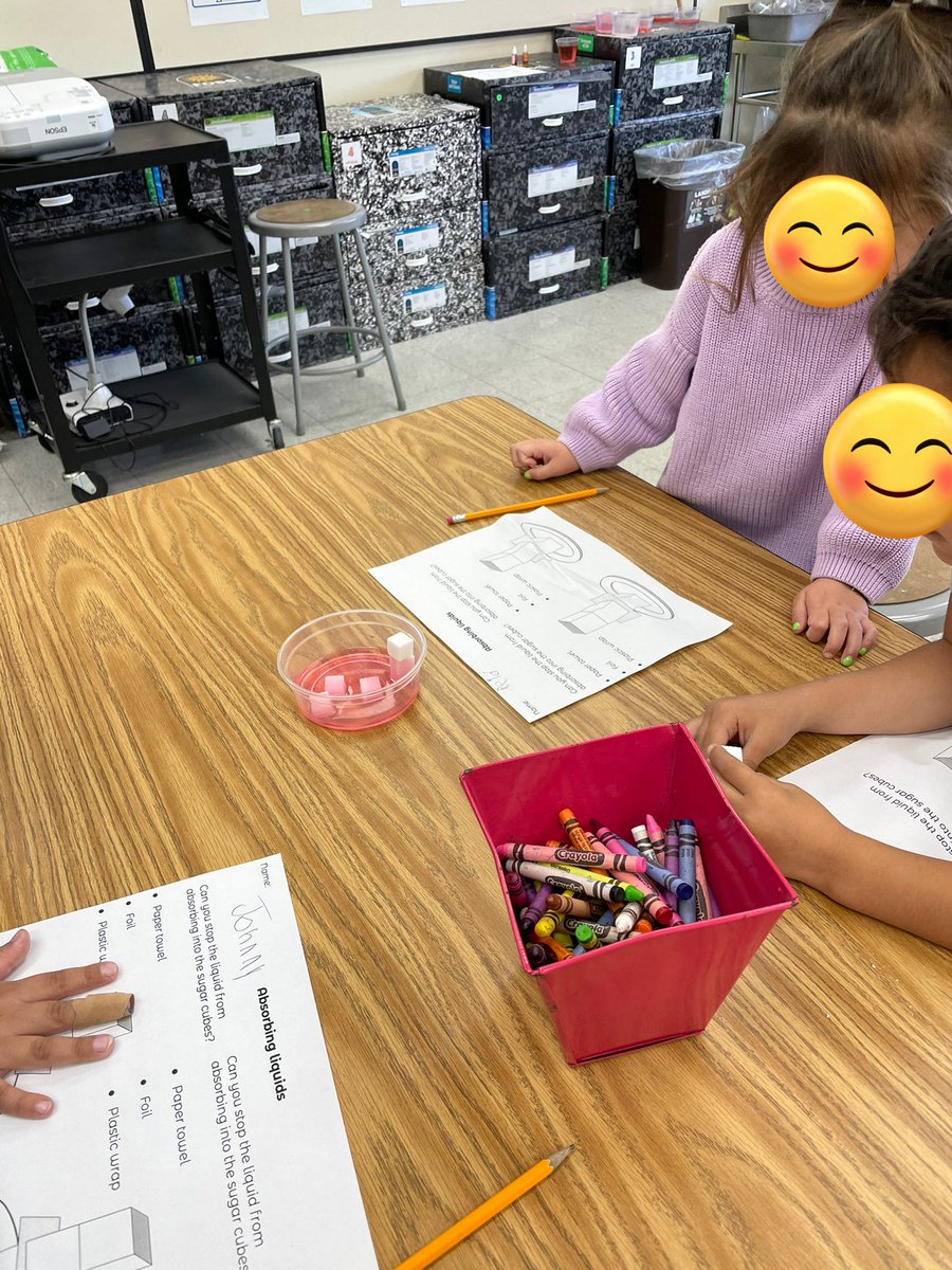 StephanieWilcoxHall tweet media