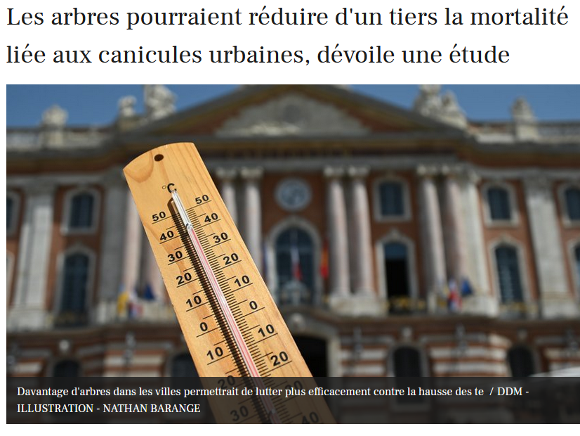 cq7deniers's tweet photo. On en parle de l'ombre et de la fraîcheur que produit le #Cèdre du #ClosdeJob ? 🥵
https://t.co/4E71LIxwuk
@O_ARSAC @bertrandserp https://t.co/WZA09FNlny