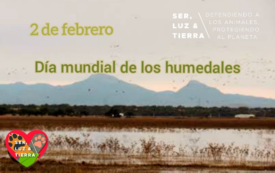 LomitosyMichisD's tweet photo. Los humedales son todos aquellos ecosistemas cuyos suelos aparecen permanente o periódicamente inundados, tanto en ambientes de agua dulce como en aquellos que presentan cierto grado de salinidad https://t.co/Muol7S7jdn