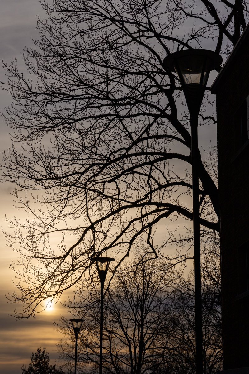 Another beautiful sunset 02.02.2023

#sunset #sunsetphotography #oslo #norway #photography #clouds #cloudsphotography #canonphotography #canonphoto #canonphotographers #canon6dmarkii #canonnordic