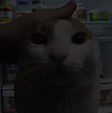 Me Petting My Cat Bot tweet media