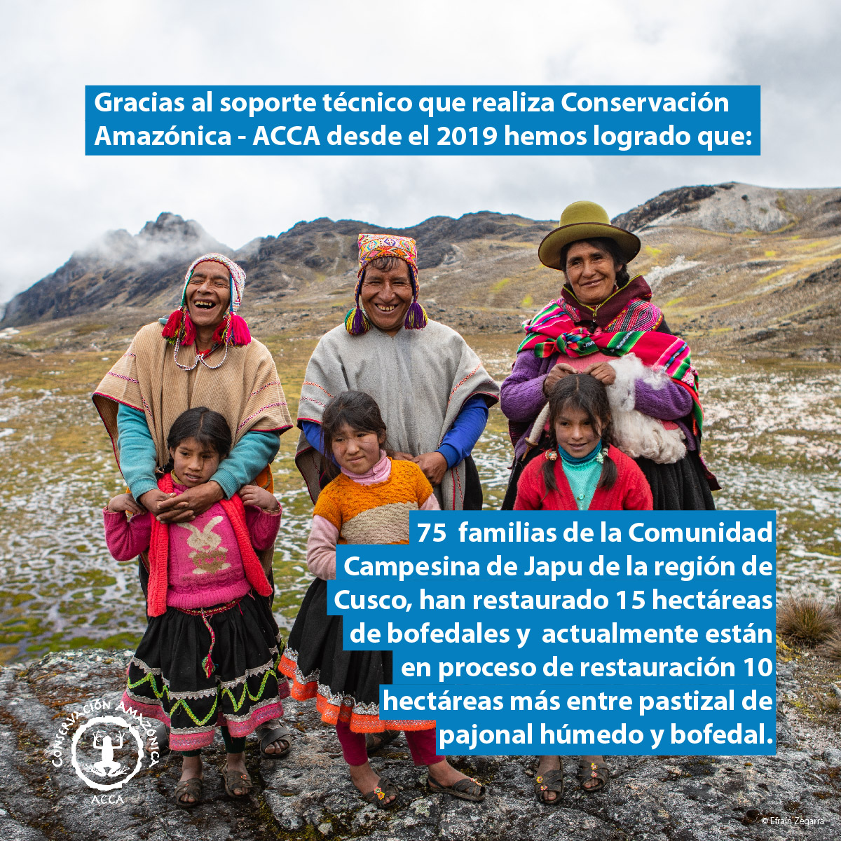 Conservación Amazónica - ACCA tweet media
