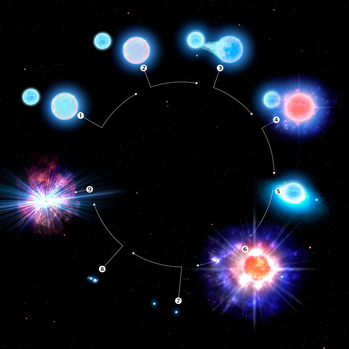 NOIRLabAstroES's tweet photo. Esta infografía muestra la evolución del sistema estelar CPD-29 2176, el primer progenitor confirmado de una kilonova con datos de SMARTS en @cerrotololo, un Programa de @NOIRLabAstroES de @NSF. https://t.co/daWXr4zwLr 
#NSFScience
Illustración: CTIO/NOIRLab/NSF/AURA/P. Marenfeld https://t.co/pdokgjWN06