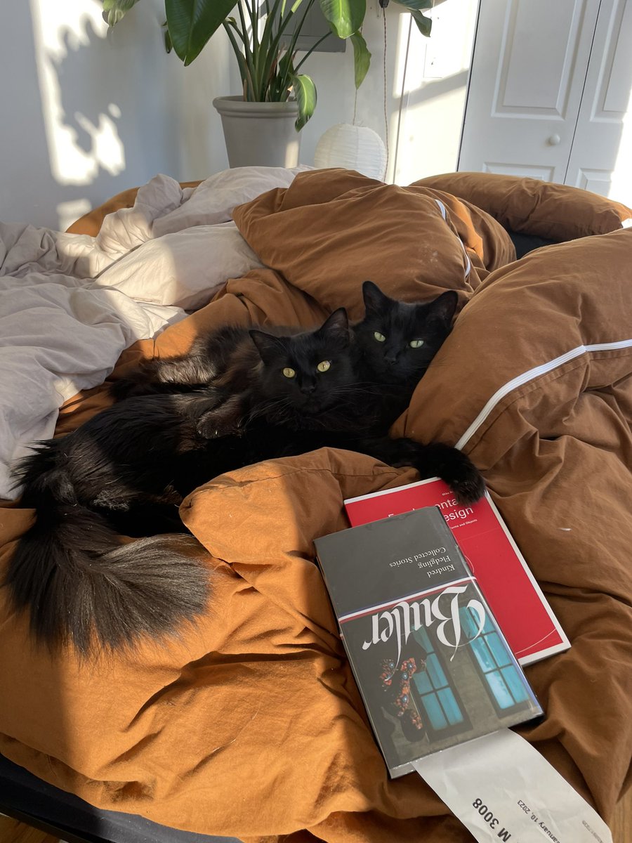Enjoy this beautiful picture of my black cats on black history month readin black books