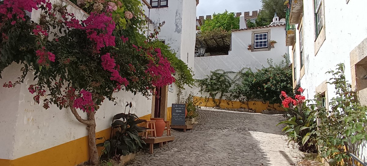 facebook.com/photo/?fbid=62…
#charity #nonprofit #donate #love #community #fundraising #support #help #volunteer #giveback #donation #fundraiser #dogood #socialgood #givingback #donations #hope #instagood #change #family #makeadifference #life #art #helpingothers #OBIDOS #EspaçoO