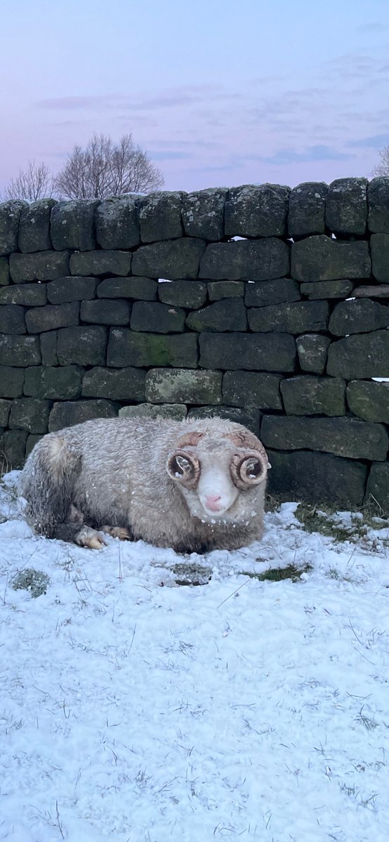 Rebecca Musgrove tweet media