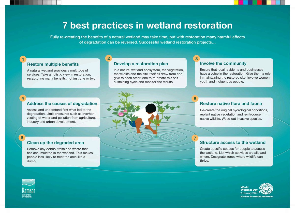 World Wetlands Day !! 

#wetlands #wetlandsconservation #ecology #mangroves 

@_INPST @GoneSustainable @IPBES @Ecologi_hq @Welthungerhilfe @IUCN @theGEF @GlobalGiving @theGCF @eden_reforest @Global_Nature_F @GCAdaptation @MangroveProject @IDEAWILD @Mangroves