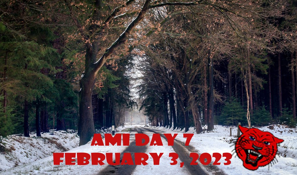 Melbourne School District will be closed Friday, February 3, 2023.  AMI Day 7!