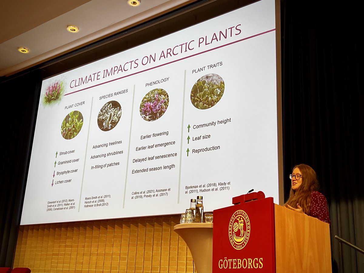 Dr. Mariana García Criado (@nanitundra) presents her beautiful and fascinating talk 'Plant diversity dynamics in a warming Arctic' at #OikosSweden2023 this week in Gothenburg. Thanks for the excellent conference @annebeejay, @RobertGBjork, Johan Olofsson, etc. and @SweSocOikos!