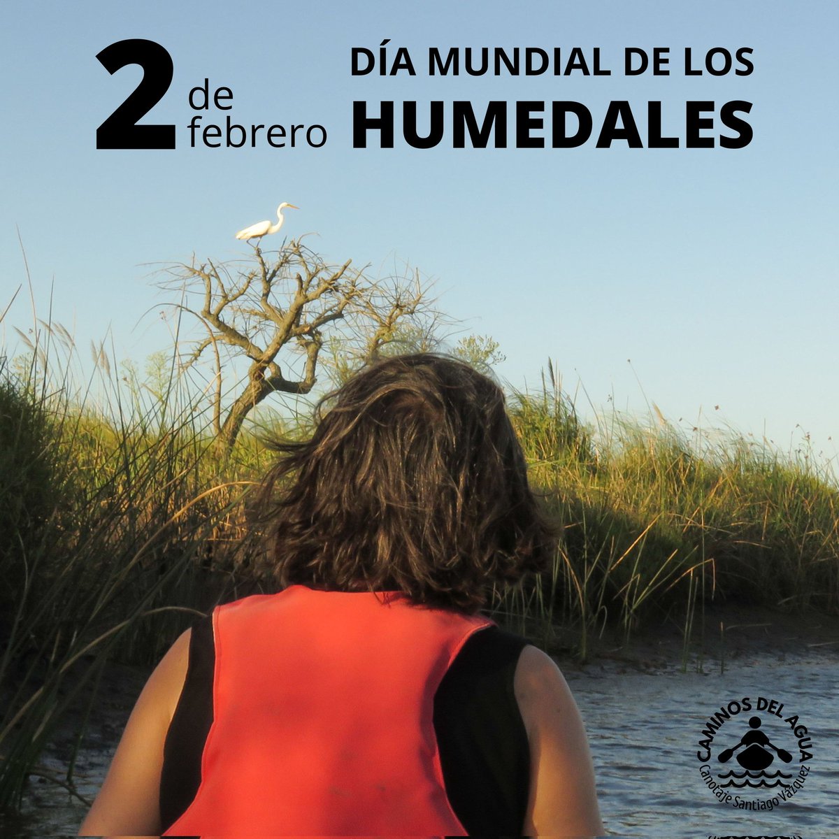 CaminosdelaguaU's tweet image. 2 de febrero DÍA MUNDIAL de los HUMEDALES. 🌾🦀🌱🐾🦅🐦🦆

¡CUIDÉMOSLO ES RESPONSABILIDAD DE TODOS!

#MontevideomásVerde #OestedeMontevideo #Canotaje #Paseos #Montevideo #Uruguay #SantiagoVázquez #UruguayNatural #DiaMundialDeLosHumedales #DescubríMontevideo