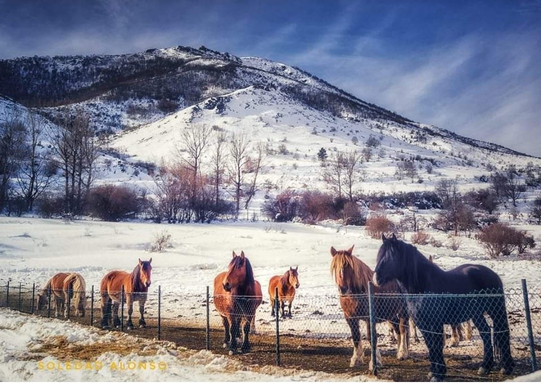 Una de las comarcas con más personalidad de toda la montaña leonesa.

Babia, Llión

📷: Soledad Alonso