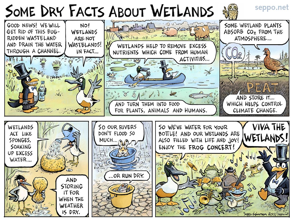 sepponet's tweet photo. It's the #WorldWetlandsDay!
Revive and #restore degraded #wetlands.
https://t.co/Zrlhr8ba9f https://t.co/BypMDiLAnM