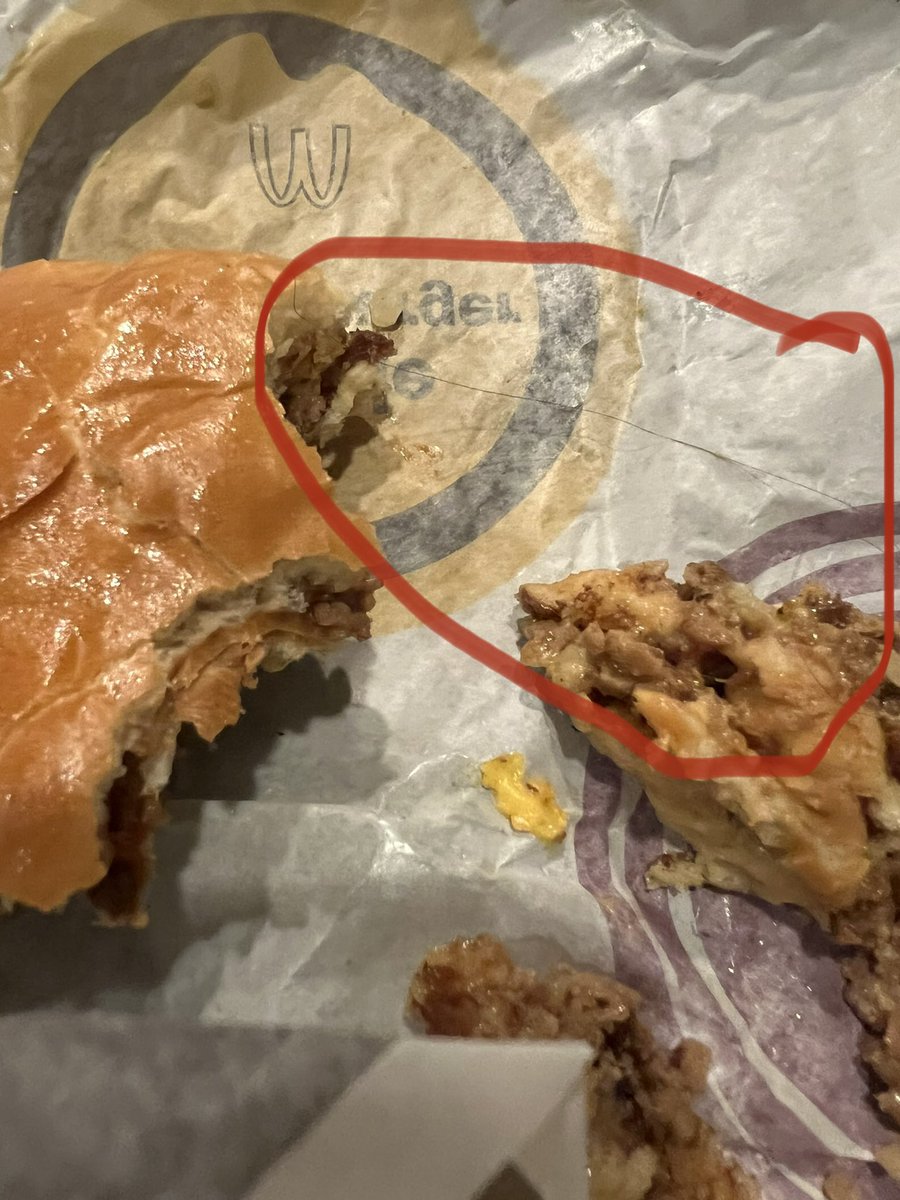4PetesSake619's tweet photo. @McDonalds This was in my McDouble last night. I threw up after this long piece of hair was tangled around the burger. I felt hair in my mouth and spit out my bite. 🤮 https://t.co/cUtRmAxU18