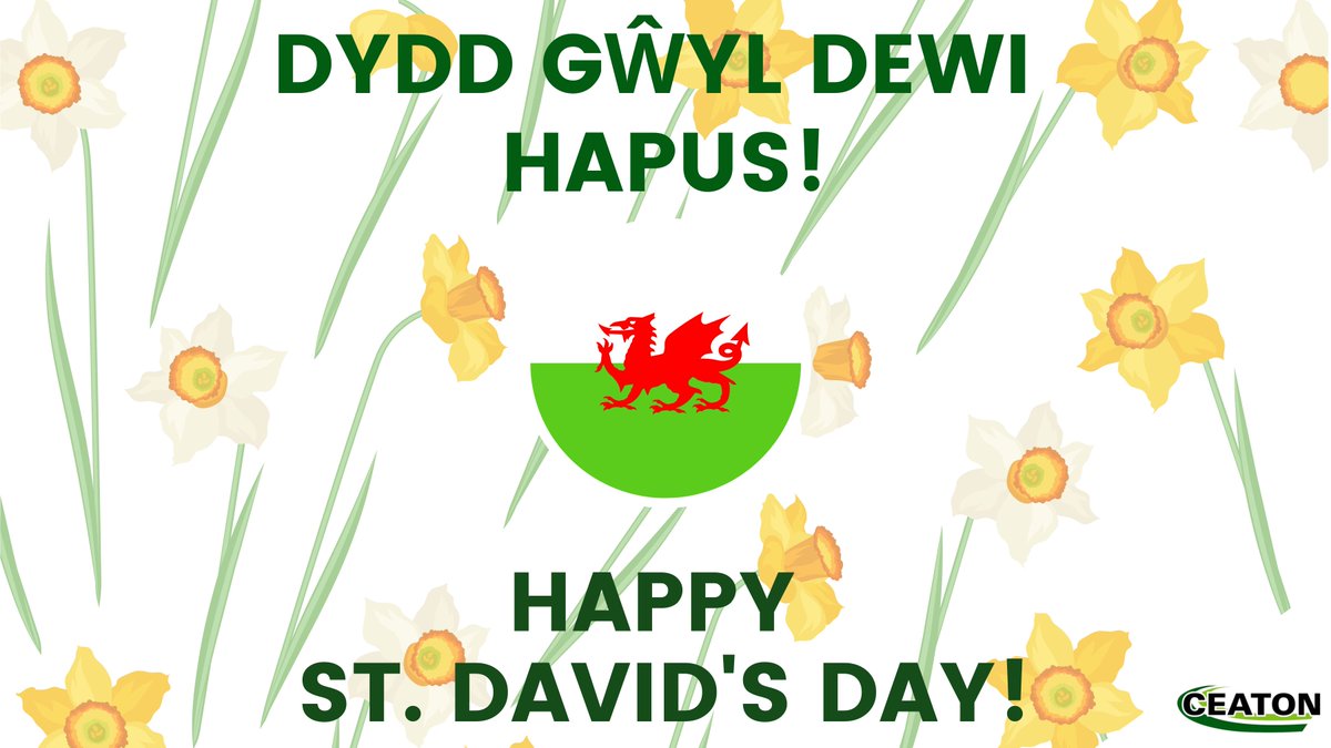 Happy St. David's Day! Dydd Gŵyl Dewi Hapus! What better way to celebrate St. David's Day than by supporting a local #WelshBusiness? We are proud to serve a vast and varied customer base across the whole of the country, from #Cardiff to #Anglesea and #Treginnis to #Chepstow.