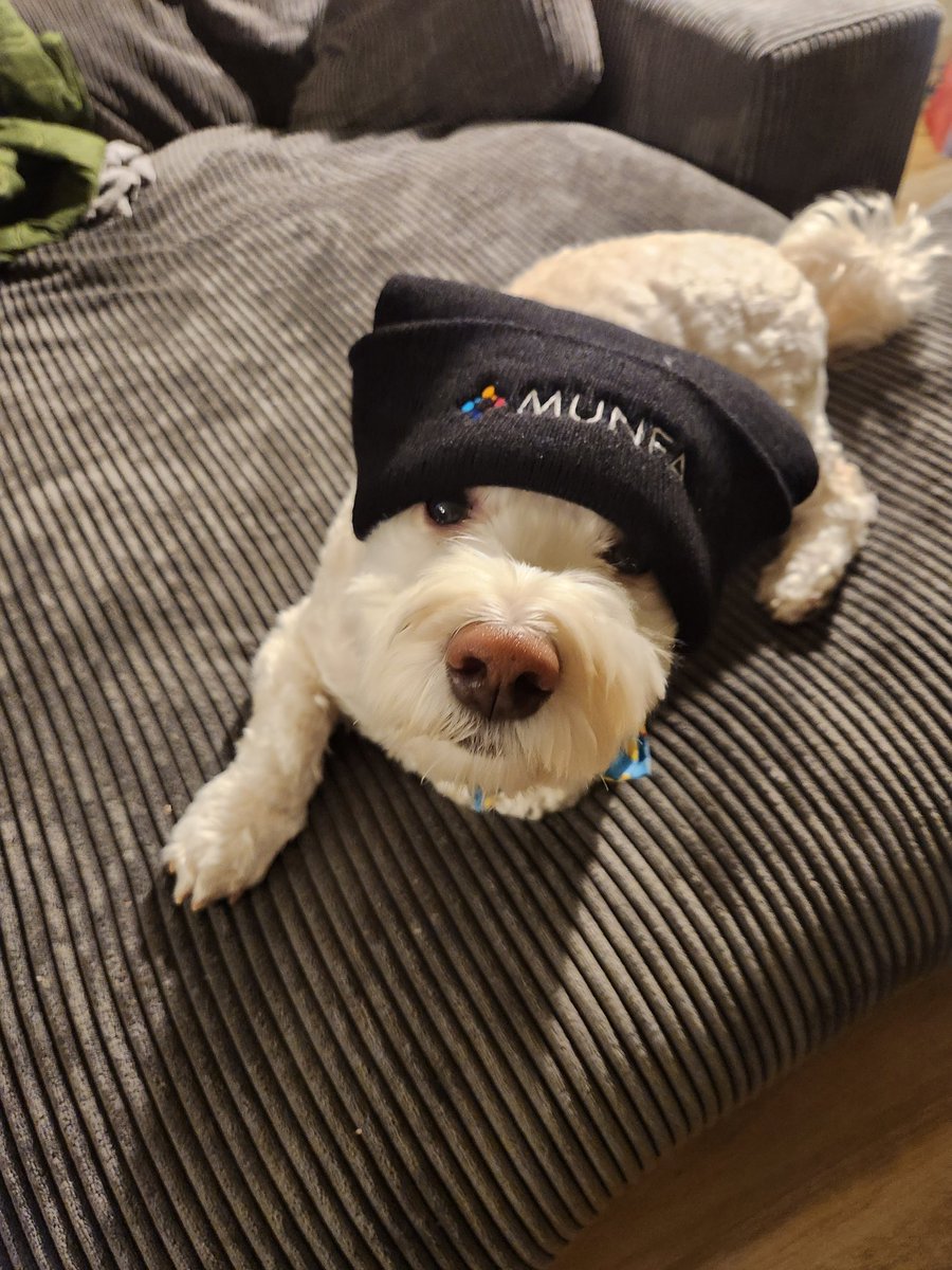 Dr. Jeanette Wheeler (she/her) tweet media