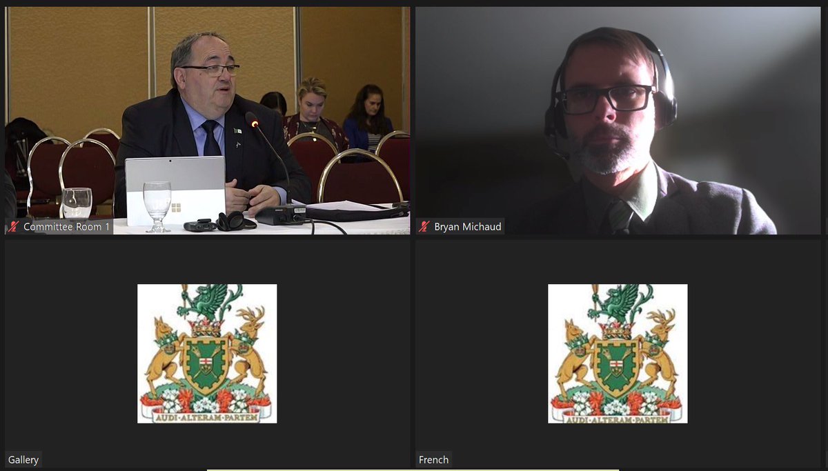 Aux consultations prébudgetaires pour promouvoir les intérêts francophones dans le budget provincial 2023-2024. 
#onfr #onpoli #frcan #canpoli