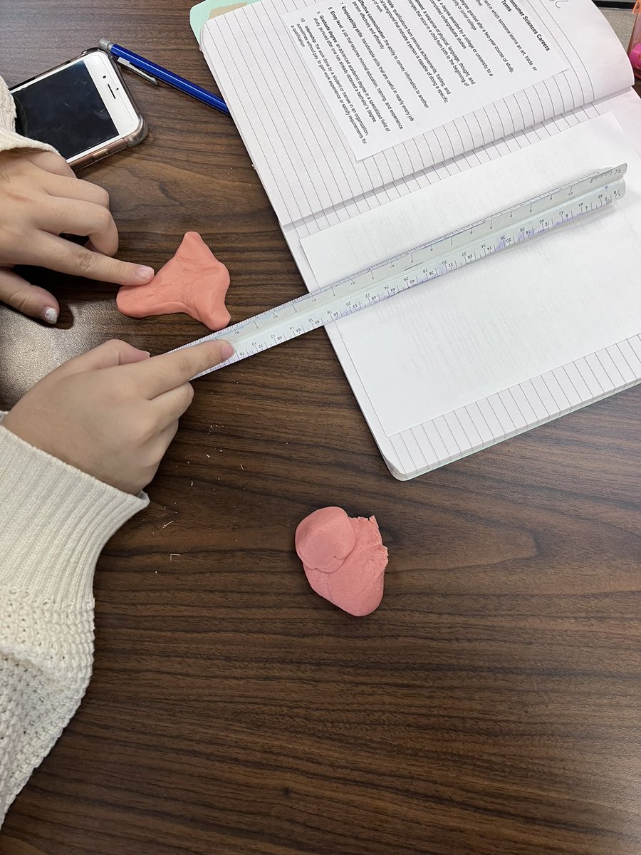 Sarah Dellinger tweet media