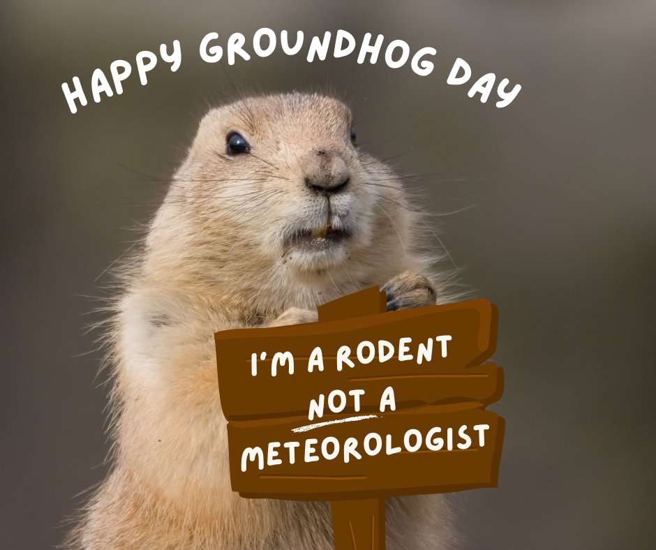 Have you heard the news?! Punxsutawney Phil predicted six more weeks of winter! Who's excited?