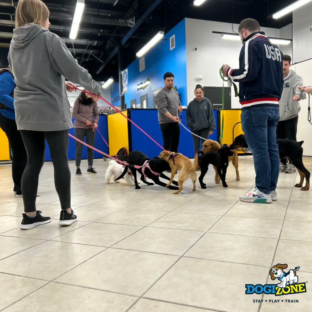 DogiZone's tweet photo. New Puppy🐶?  Let’s Talk Training!

Give us a quick call at 240-793-5787 to get more information on our training services &amp; set up your free evaluation today🐾

#DogiZone #Rockville #Maryland #MontgomeryCounty #DMV #DCmetro #dog  #dogtraining #dogtrainingclass #doglove #doglife https://t.co/dFKUPI5FEN