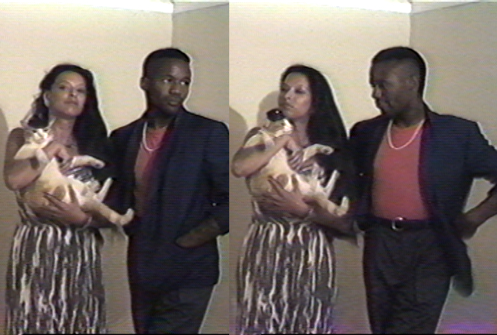 Harvard WingTip Collection tweet media