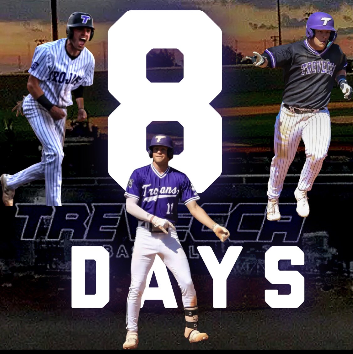 Trevecca Baseball tweet media