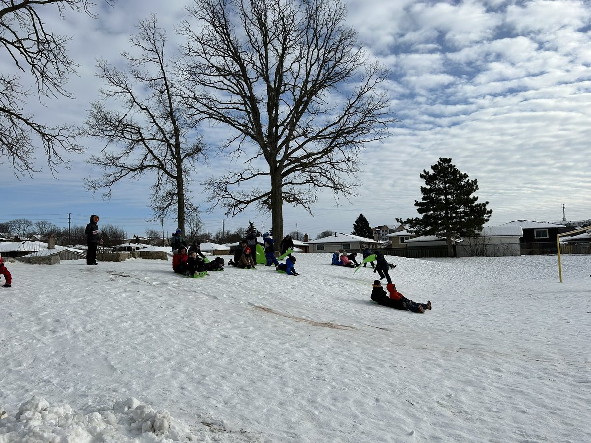 Miss Camilo tweet media