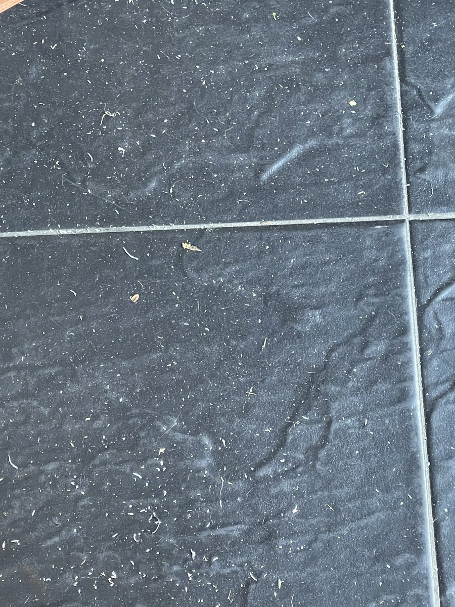 En Chapinero no para de caer ceniza y se divisa humo. ¿<a href="/IDIGER/">IDIGER</a>, se conoce la causa?