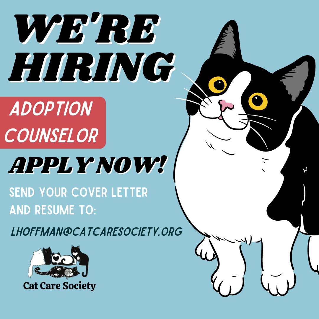 Cat Care Society (@CatCareSociety) / Twitter