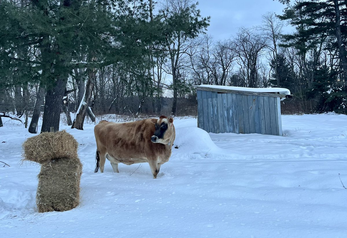 Robert Franklin tweet media