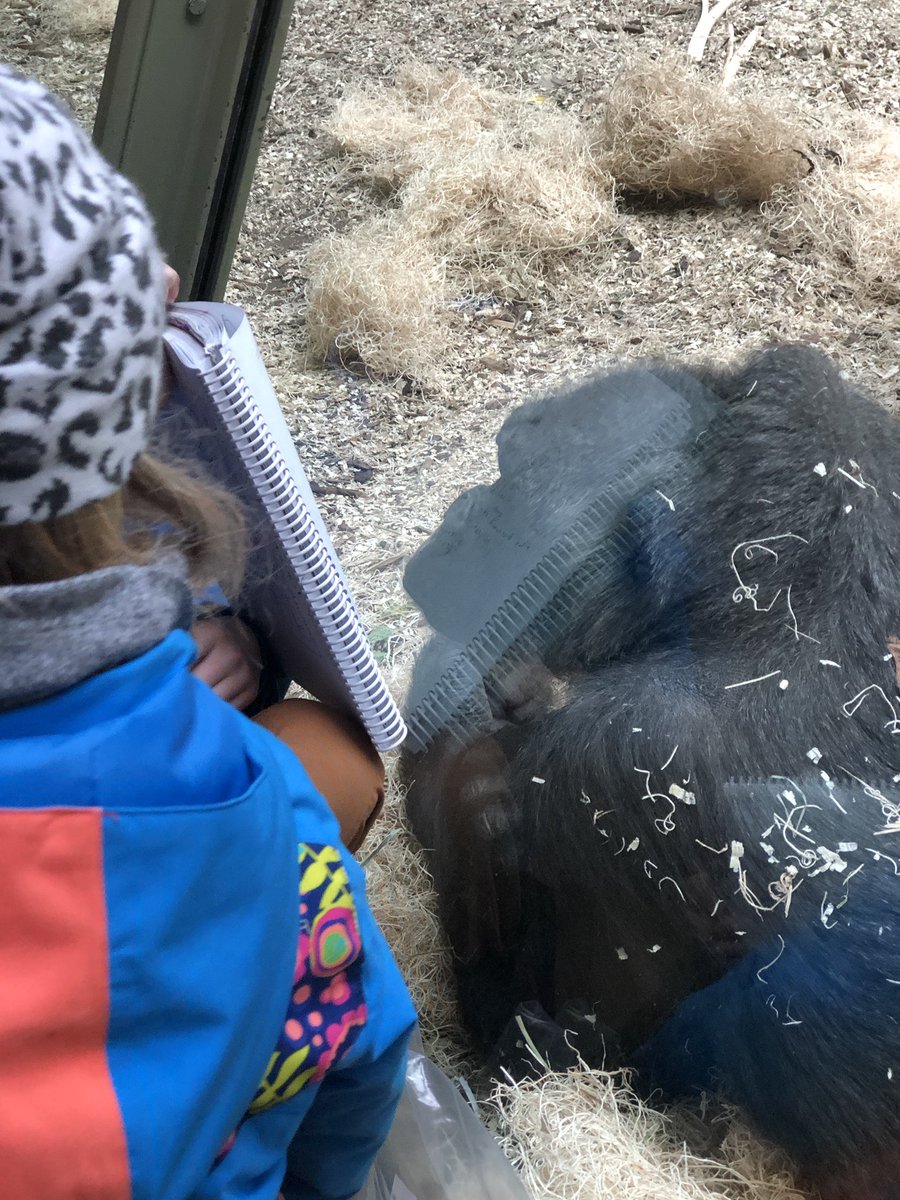 yycCCOM's tweet photo. How do we connect with others? With animals? Connecting @ZooSchoolyyc Ss through animal obs is all about creating relationships. Meeting animals, learning their names, studying their behaviours & habitats - are all ways Ss learn through careful & repeated obs. @yycbedu #yycCCOM https://t.co/5AwhnOcxPt